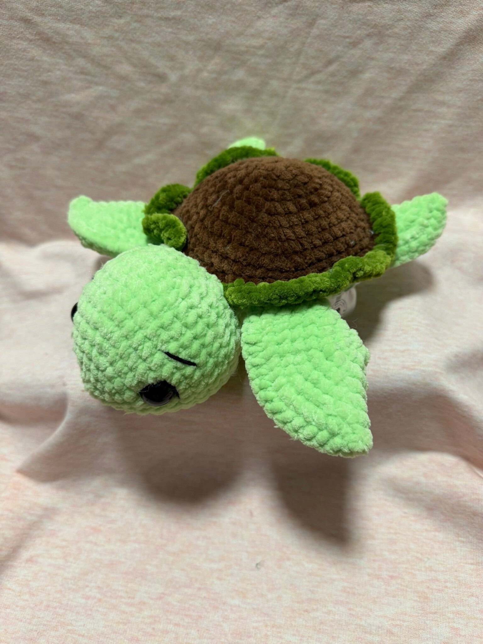 Elli, die Schildkröte