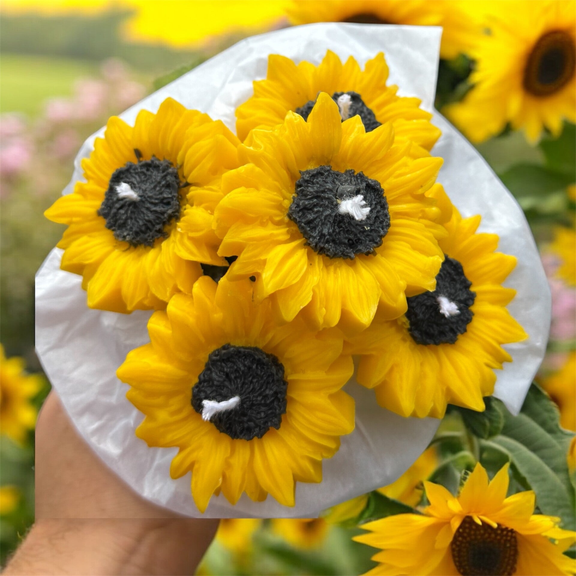 Sonnenblumen Box