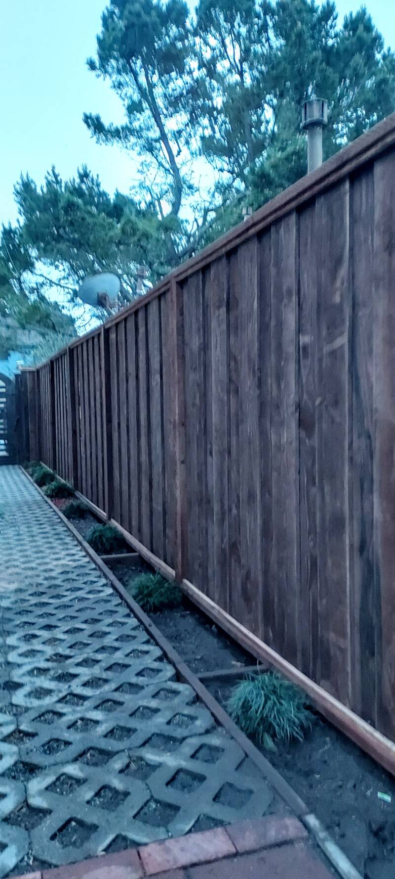 Fences 