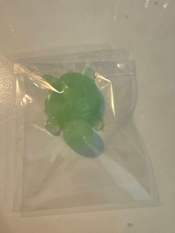 Squischi