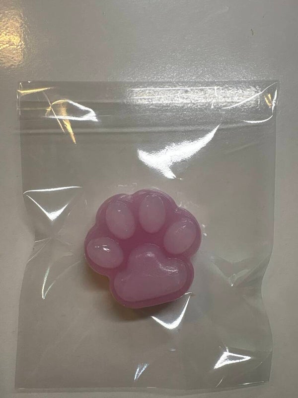 Squischi