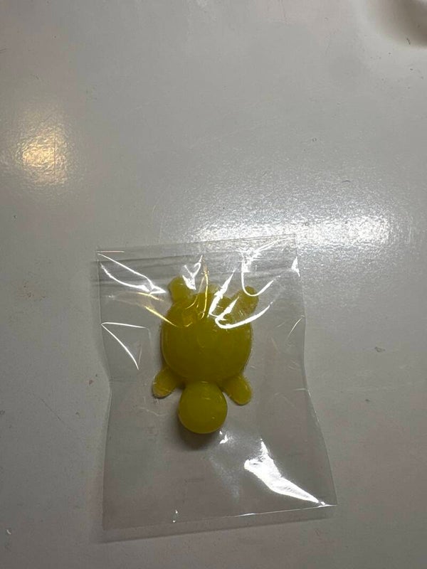 Squischi