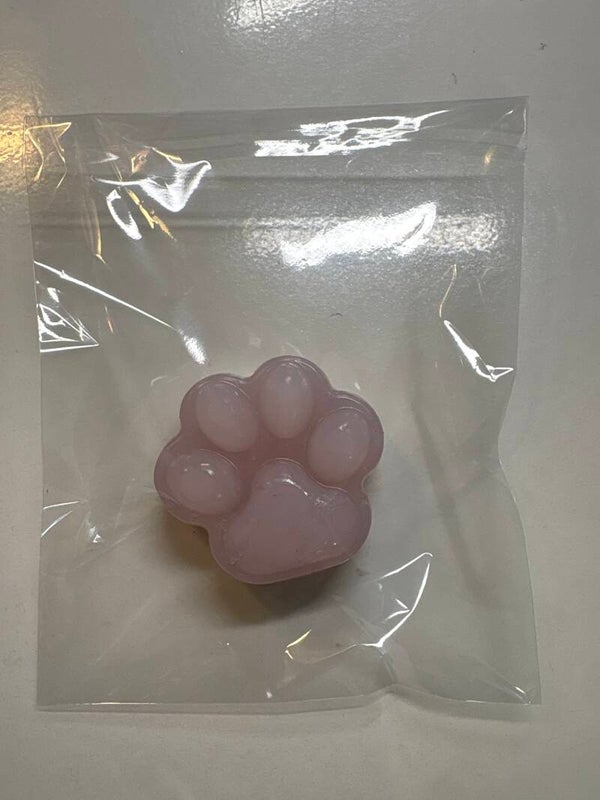 Squischi