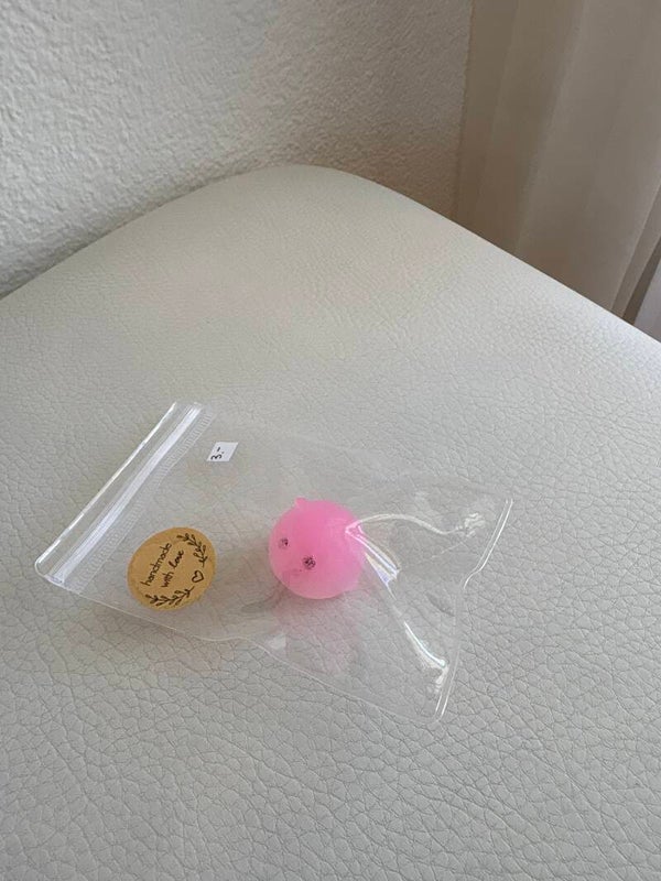 Squischi