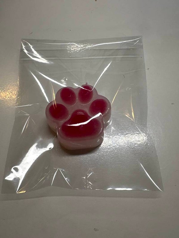 Squischi