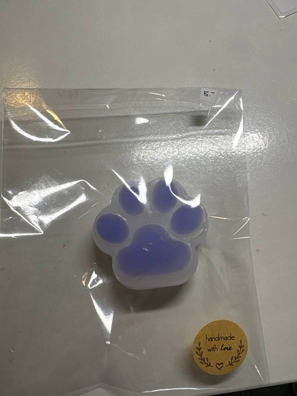 Squischi