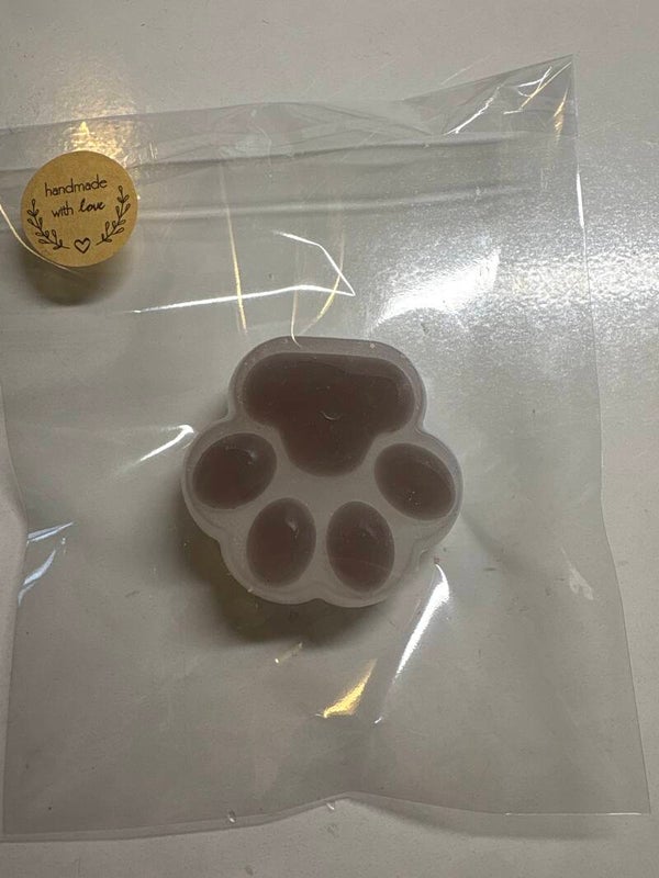 Squischi
