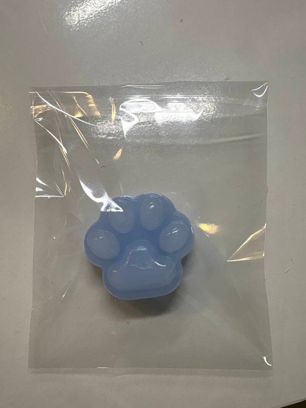 Squischi