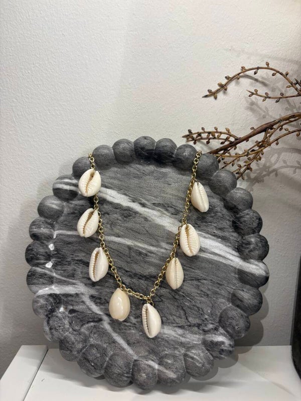 Ketting Schelp RVS