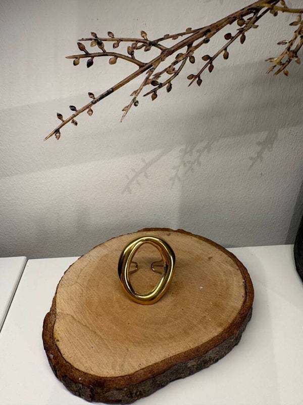 Ring Cirkel RVS