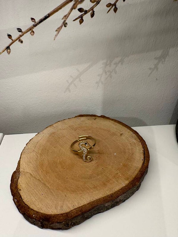Ring Zeepaardje RVS