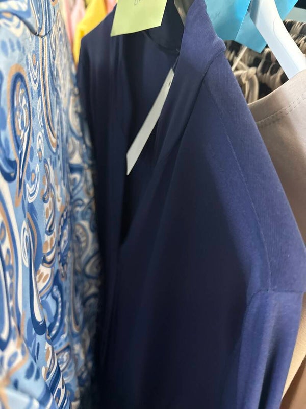 Astrid van der Sluijs