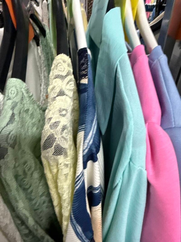 Brigitte van Steenhuyse