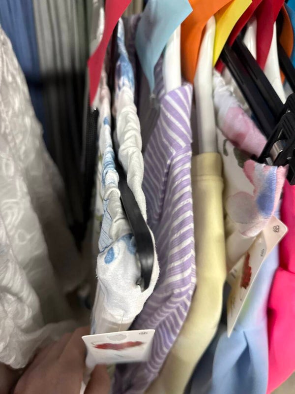 Petra van der Eerden