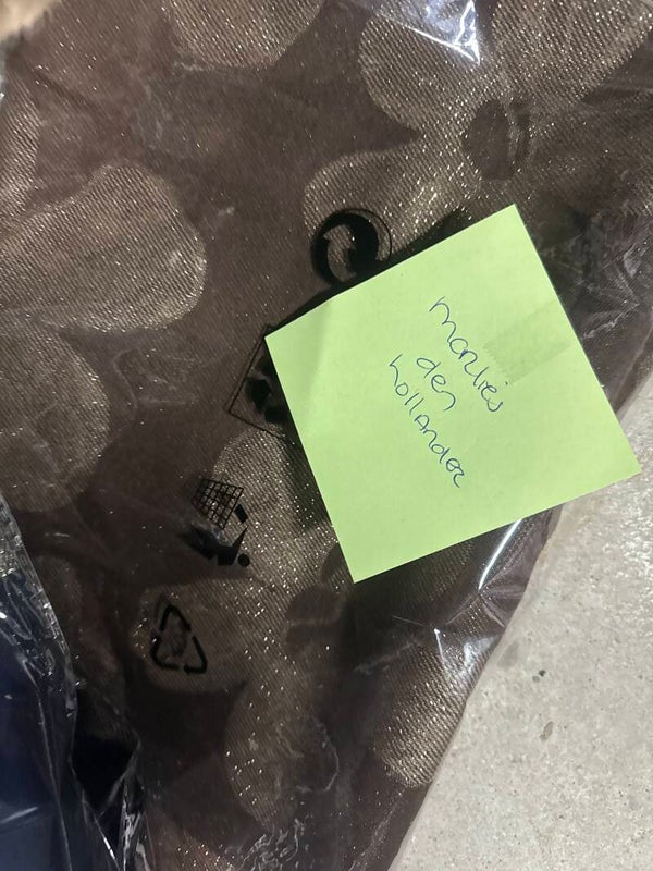 Marlies den Hollander