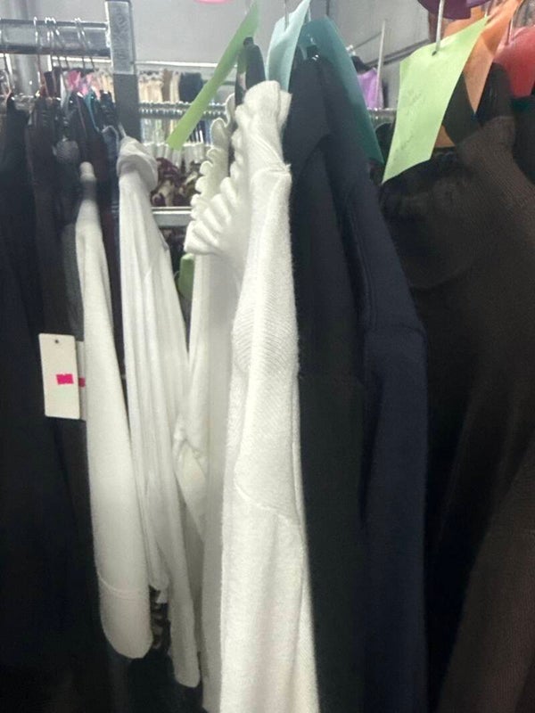 Rina van der Giessen