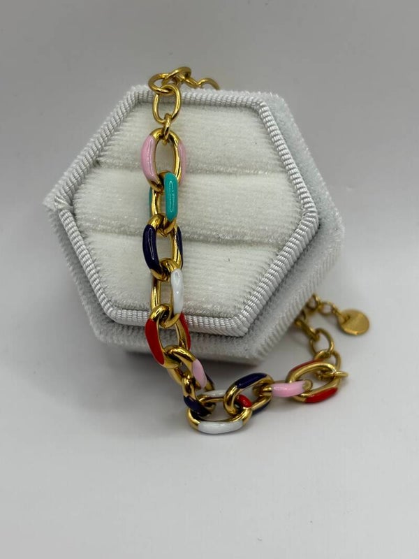 Geschakeld multicolor