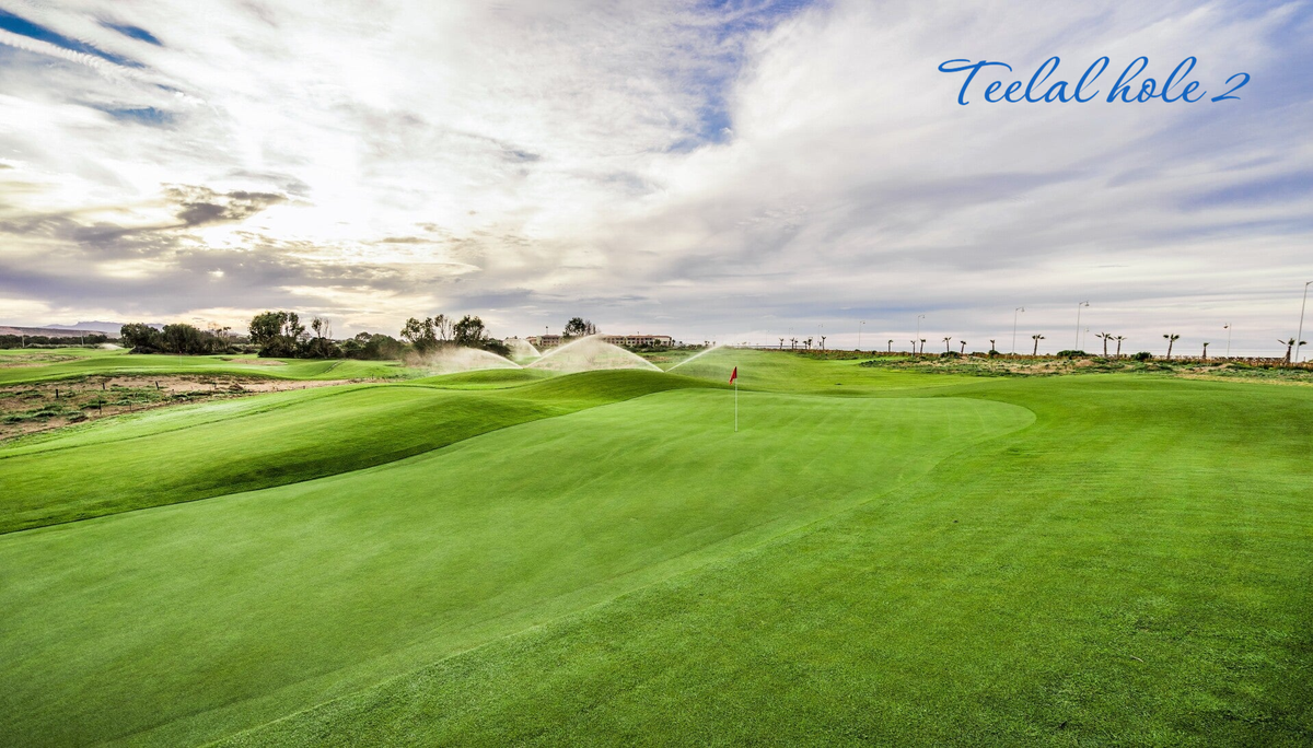 Off The Beaten Track Golf Design