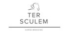 Ter Sculem