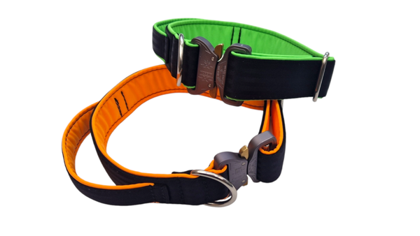 Gurtband-Halsband Black-Neon
