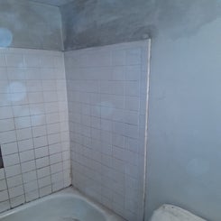 1000001211-standard.jpg