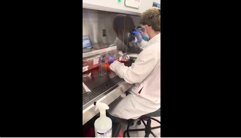 Teaser: Lab user shadowing / Case studies | Julie Brown UX Research