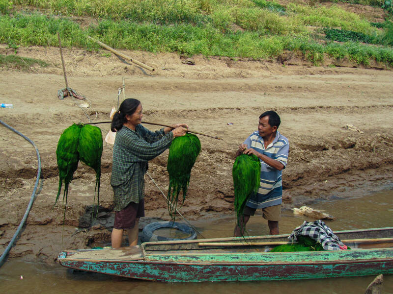 dd_20120225_5972-standard.jpg