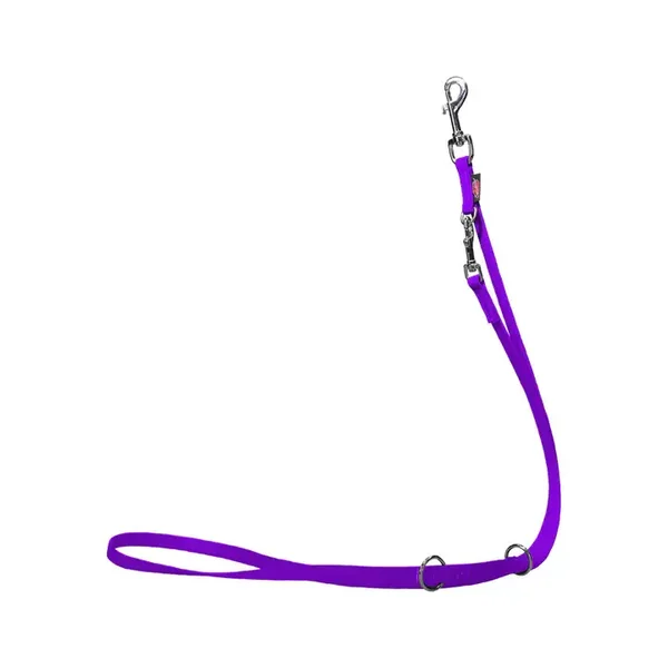 Laisse réglable en 3 positions Biothane 200cm VIOLET