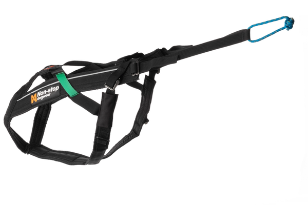 Equipement complet Baudrier + harnais + laisse