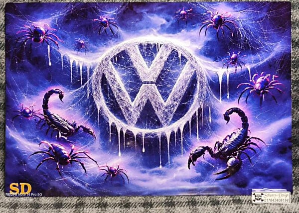 Spider VW