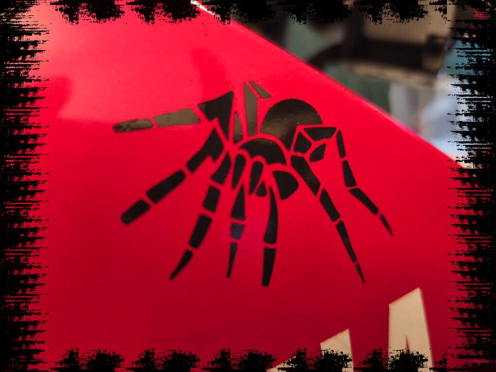 spider ca. 12 cm x 12 cm