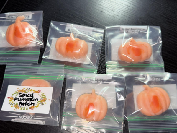 Mini Spicy Pumpkin Patch Candle Wax Warmers