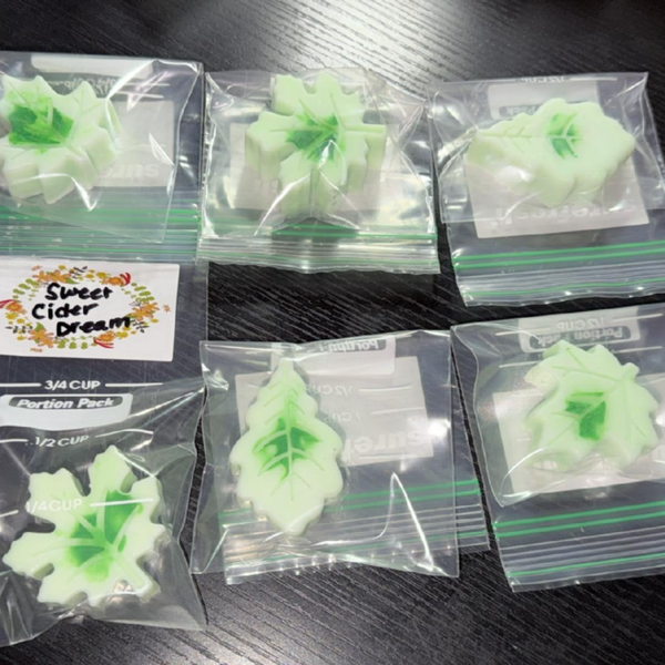 Mini Sweet Cider Dream Candle Wax Warmers