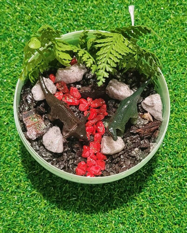 Dino and Lava Garden