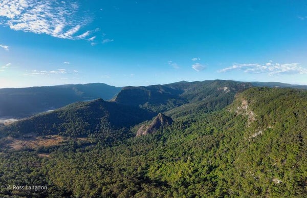 Beechmont, Gold Coast Hinterland