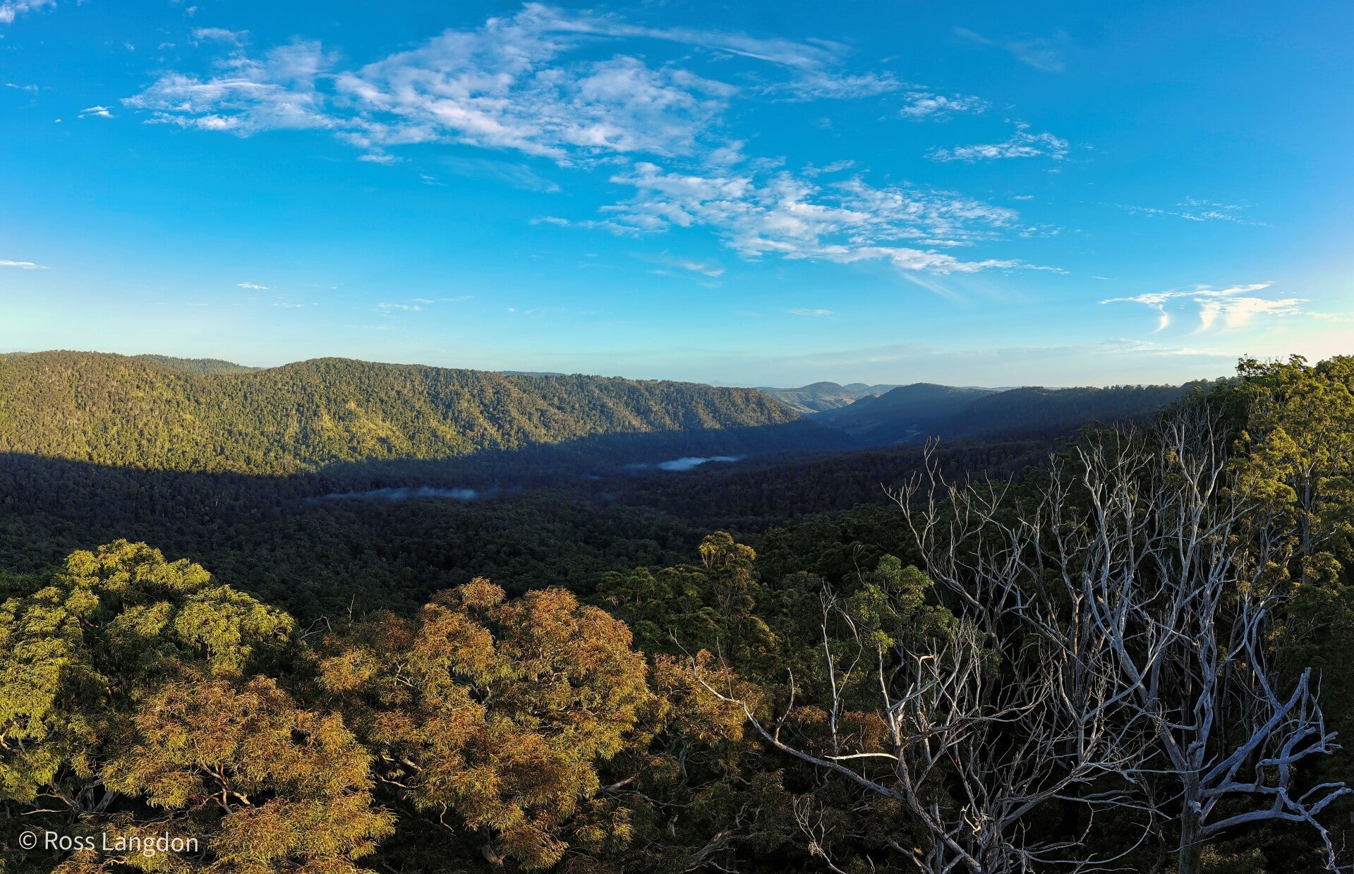 Beechmont, Gold Coast Hinterland