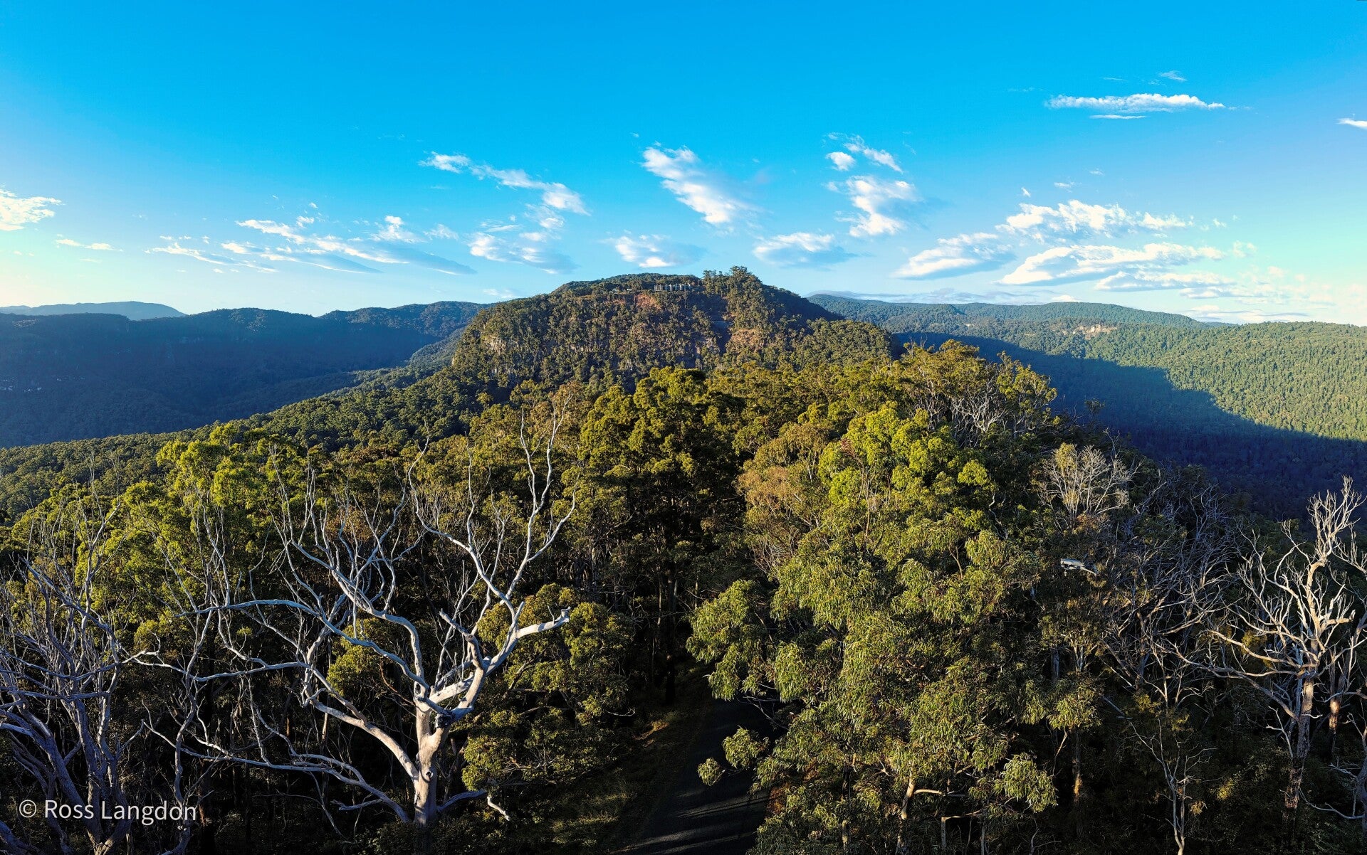 Beechmont, Gold Coast Hinterland