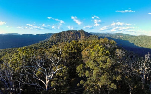 Beechmont, Gold Coast Hinterland