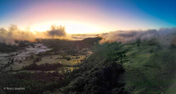 Carr's Lookout, Scenic Rim