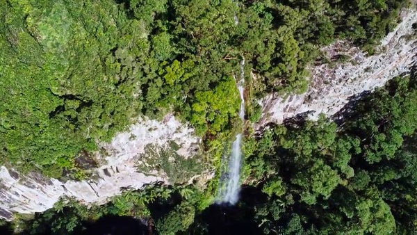 Coomera Falls & Coomera Gorge