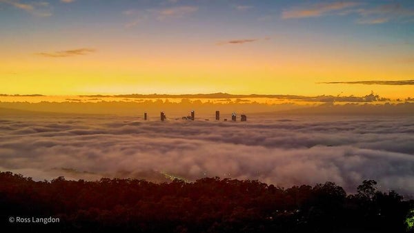 Fog in Brisbane