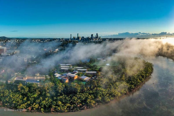 Fog in Brisbane