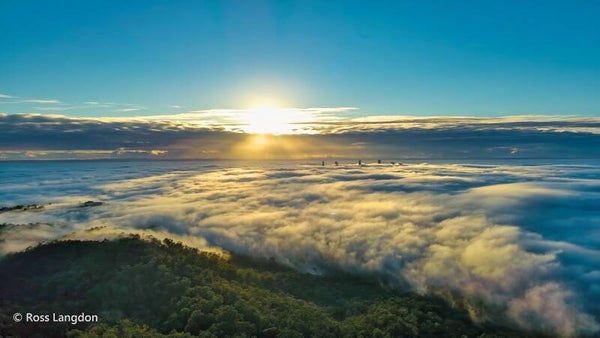 Fog in Brisbane