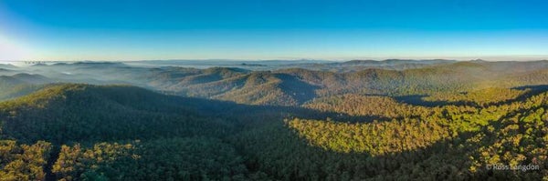 McAfees Lookout, D'Aguilar National Park