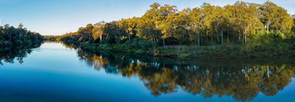 Moggill Ferry, Brisbane River