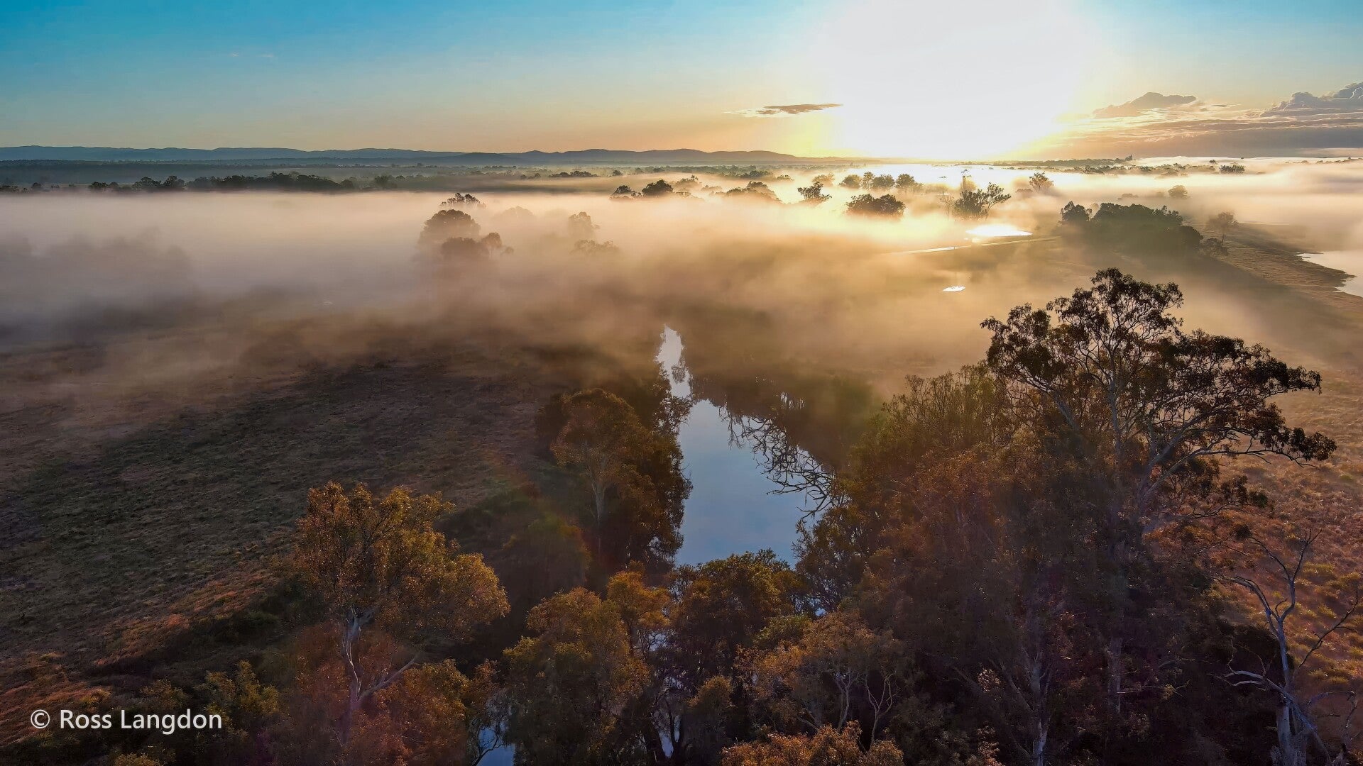 Morning mist at Rosewood