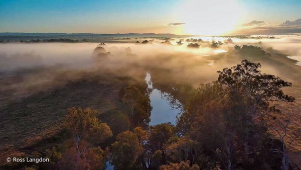 Morning mist at Rosewood