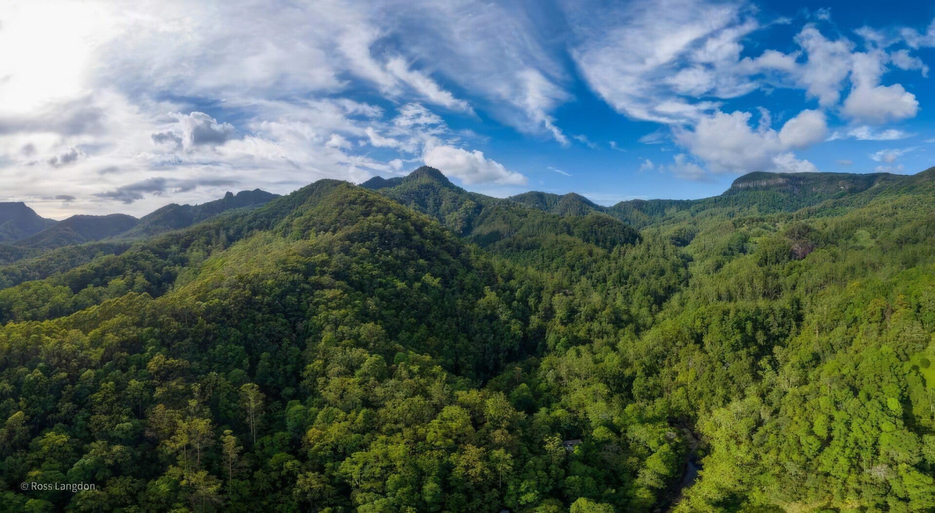 Tallebudgera Gorge Falls