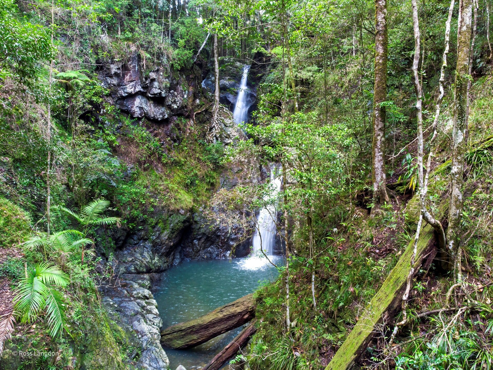 Tallebudgera Gorge Falls