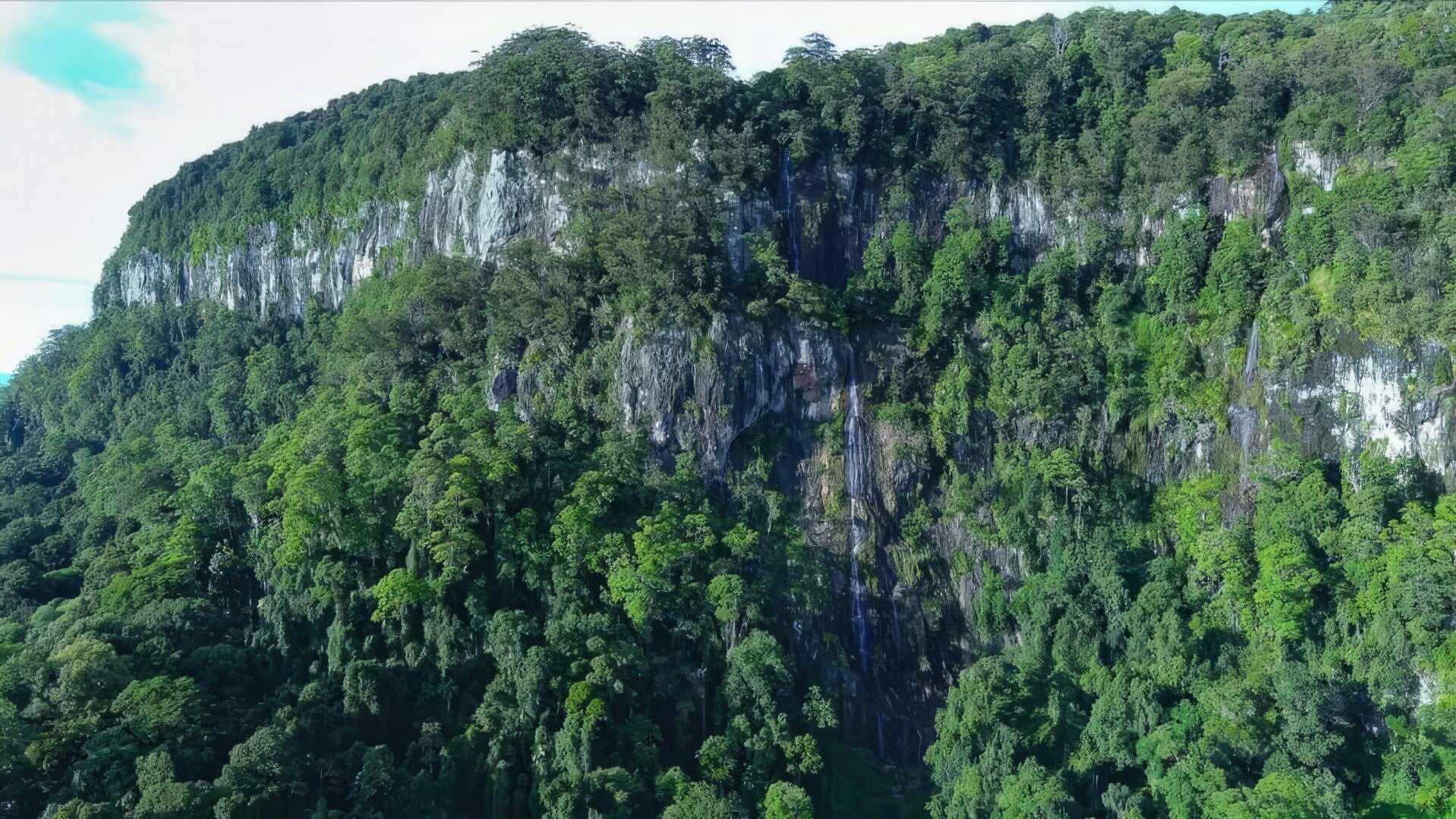 Tallebudgera Gorge Falls